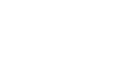 Adidas Original