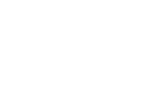 Speedo